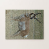 A37 Gaffelantilope Kromme Hoorns Legpuzzel (Horizontaal)