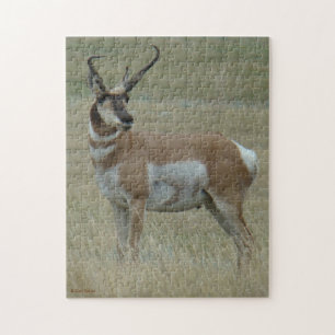 A37 Gaffelantilope Kromme Hoorns Legpuzzel