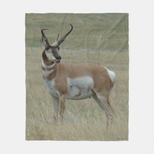 A37 Pronghorn Antelope Big Buck Crooked Horns Fleece Deken (Voorkant)