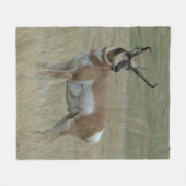 A37 Pronghorn Antelope Big Buck Crooked Horns Fleece Deken (Voorkant (Horizontaal))