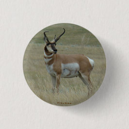 A37 Pronghorn Antelope Buck Crooked Horns Ronde Button 3,2 Cm