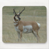 A37 Pronghorn Antelope Crooked Horns Muismat (Voorkant)