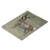 A37 Pronghorn Antelope Crooked Horns Notitieboek (Linkerzijde)