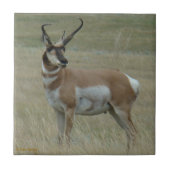 A37 Pronghorn Antelope Crooked Horns Tegeltje (Voorkant)