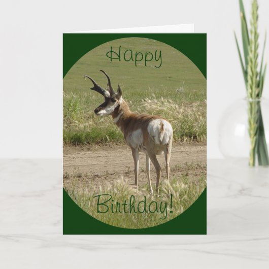 A39 Gaffelbok-antilope mannetje Kaart (Voorkant)