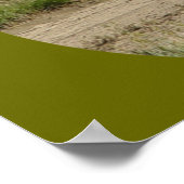 A39 Gaffelbok-antilope mannetje Poster (Hoek)