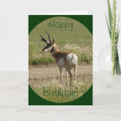 A39 Pronghorn Antelope Buck Kaart (Voorkant)