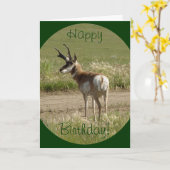 A39 Pronghorn Antelope Buck Kaart (Gele Bloem)