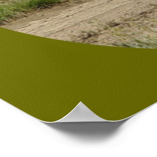 A39 Pronghorn Antelope Buck Poster (Hoek)