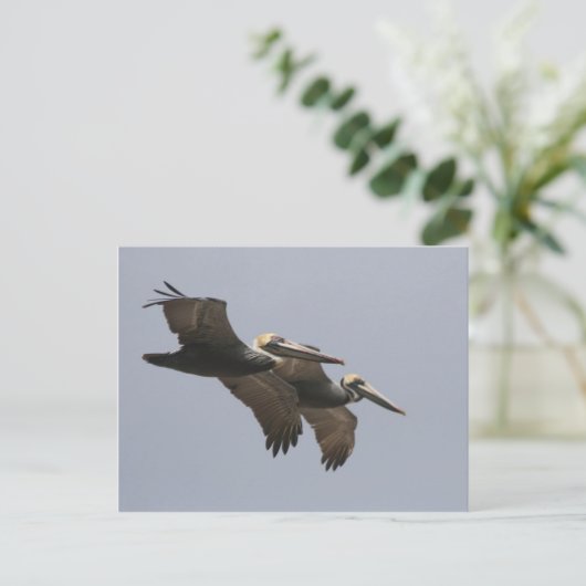 A3 Pelican Pair Briefkaart (Staand voorkant)