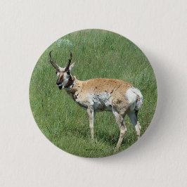 A3 Pronghorn Antelope Ronde Button 5,7 Cm