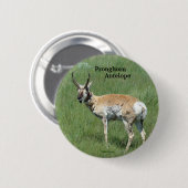 A3 Pronghorn Antelope Ronde Button 5,7 Cm (Voorkant /achterkant)