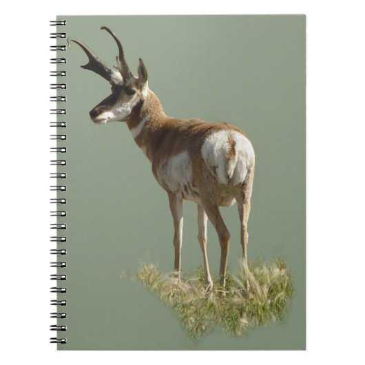 A43 Gaffelbok Hertenbok Ram Notitieboek (Voorkant)