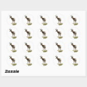 A43 Gaffelbok Ram Ronde Sticker (Vel)