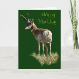 A43 Pronghorn Antelope Buck Kaart