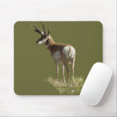 A43 Pronghorn Antelope Buck Muismat (Met muis)