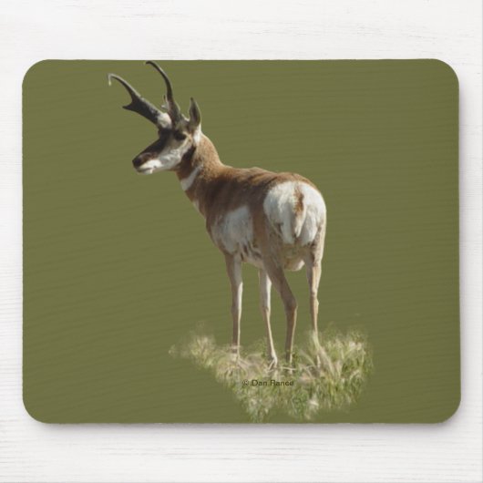 A43 Pronghorn Antelope Buck Muismat (Voorkant)