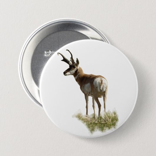 A43 Pronghorn Antelope Buck Ronde Button 7,6 Cm (Voorkant /achterkant)