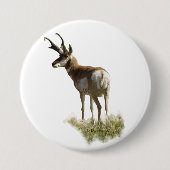 A43 Pronghorn Antelope Buck Ronde Button 7,6 Cm (Voorkant)