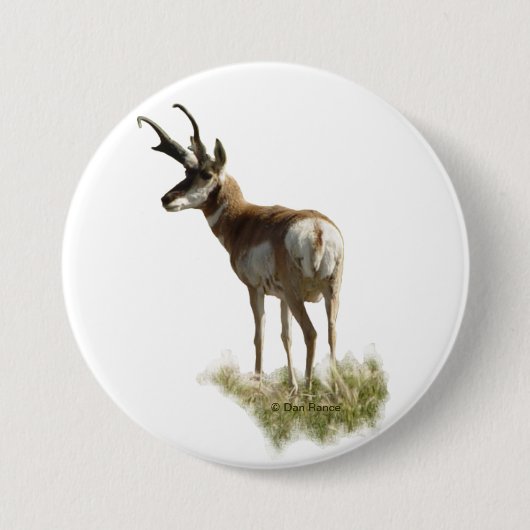 A43 Pronghorn Antelope Buck Ronde Button 7,6 Cm (Voorkant)