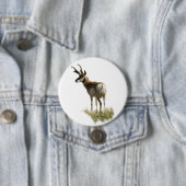 A43 Pronghorn Antelope Buck Ronde Button 7,6 Cm (In situ)