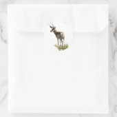 A43 Pronghorn Antelope Buck Ronde Sticker (Tas)