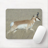 A44 Gaffelantilope Jong Mannetje Muismat (Met muis)