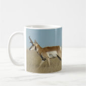 A44 Pronghorn Antelope Bucks Koffiemok (Links)