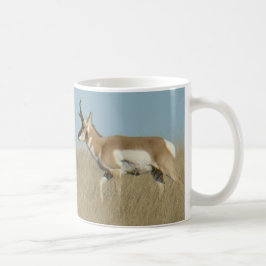 A44 Pronghorn Antelope Bucks Koffiemok