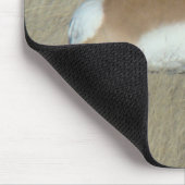 A44 Pronghorn Antelope Young Buck Muismat (Hoek)