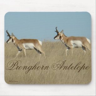 A45 Gaffelantilope Jonge Bokken Muismat