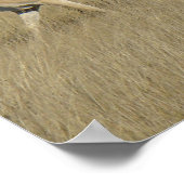 A45 Gaffelbokrammen Poster (Hoek)