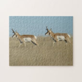 A45 Pronghorn Antelope Bucks Legpuzzel (Horizontaal)