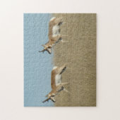 A45 Pronghorn Antelope Bucks Legpuzzel (Verticaal)
