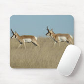 A45 Pronghorn Antelope Bucks Muismat (Met muis)