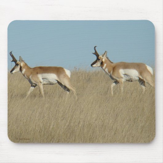 A45 Pronghorn Antelope Bucks Muismat (Voorkant)