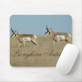 A45 Pronghorn Antelope Young Bucks Muismat (Met muis)