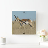 A45a Pronghorn Antelope Buck Vierkante Klok (Huis)