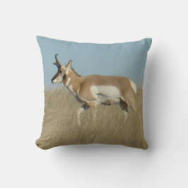 A45b Gaffelbok-antilope mannetje Kussen