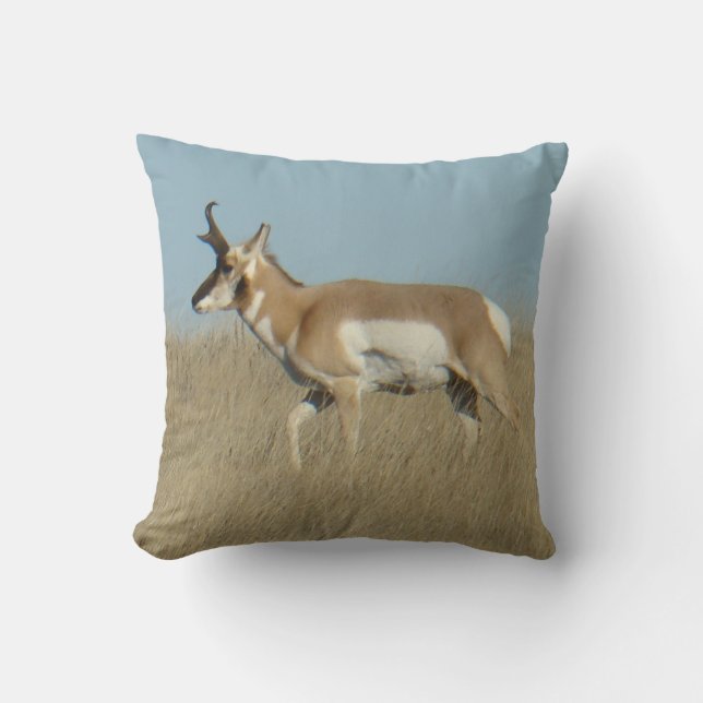 A45b Gaffelbok-antilope mannetje Kussen (Voorkant)