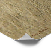 A46 Gaffelantilope Poster (Hoek)