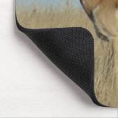 A46 Gaffelbok Antilope Muismat (Hoek)