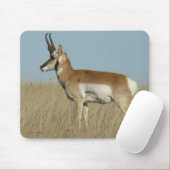 A46 Gaffelbok Antilope Muismat (Met muis)