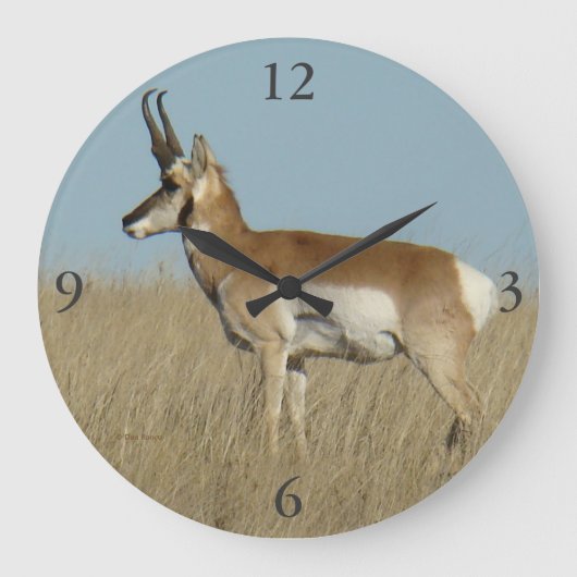 A46 Pronghorn Antelope Grote Klok (Voorkant)
