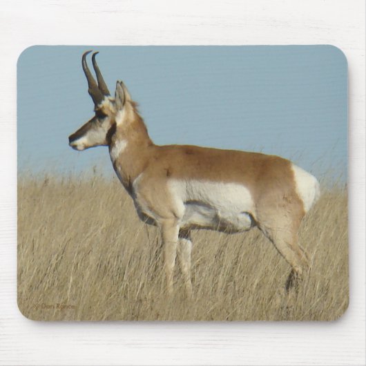 A46 Pronghorn Antelope Muismat (Voorkant)
