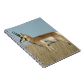 A46 Pronghorn Antelope Notitieboek (Rechterzijde)