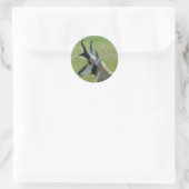 A47 Gaffelantilope Groot Bokkenhoofd Profiel Ronde Sticker (Tas)