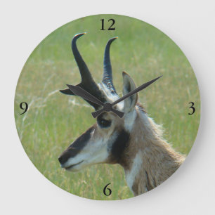 A47 Pronghorn Antelope Big Buck Head Profiel Grote Klok