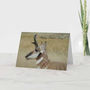 A4 Gaffelantilope bok kopschot profiel Kaart