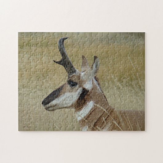 A4 Gaffelantilope Kopschot Profiel Legpuzzel (Horizontaal)